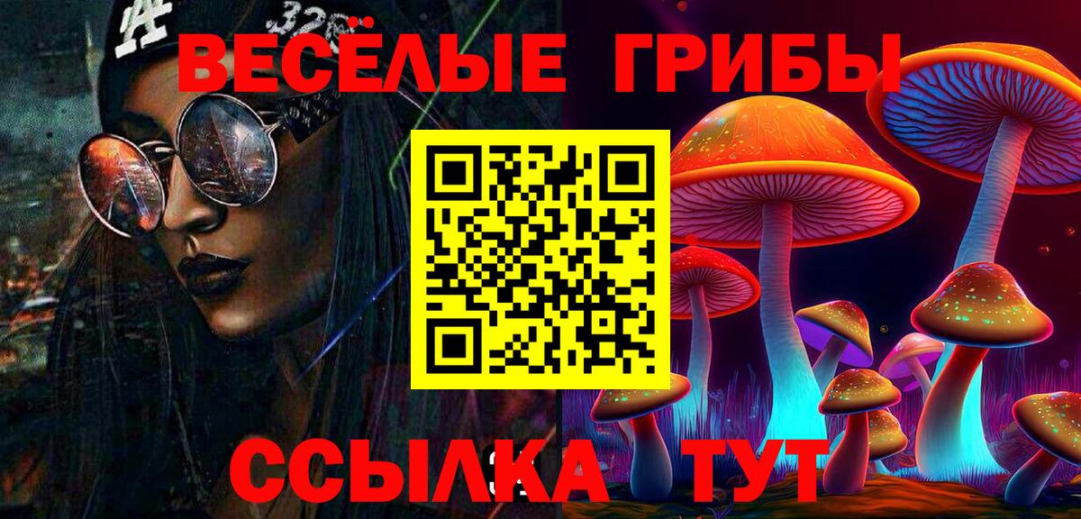 Галлюциногенные грибы GOLDEN TEACHER Котлас