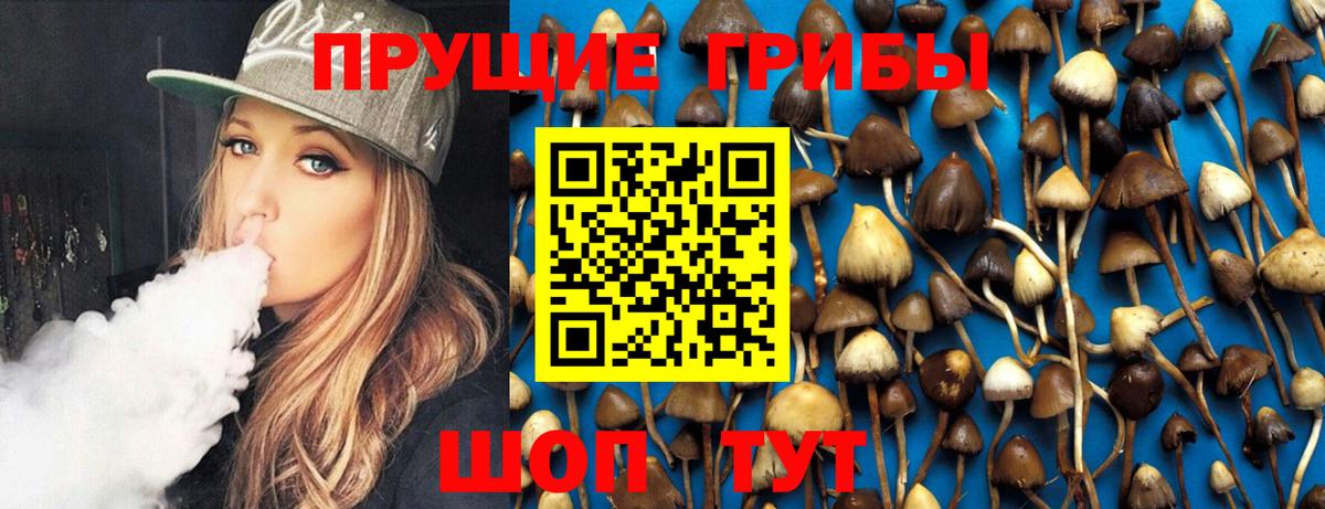 Котлас  Псилоцибиновые грибы Psilocybe  наркотики  Вход с VPN 
